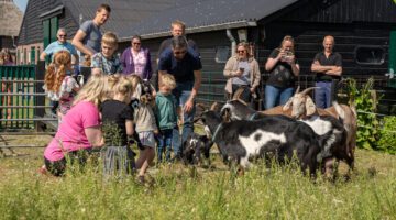 Spring het kampeerseizoen in op Boerderijcamping Het Varsenerveld!