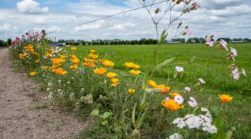 Geniet van het kampeerseizoen op Boerderijcamping Het Varsenerveld